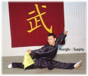 Tai chi uniform black