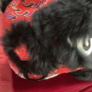 Liondance red black