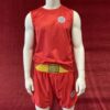 Sanda Wesing Chinese Wushu Association red