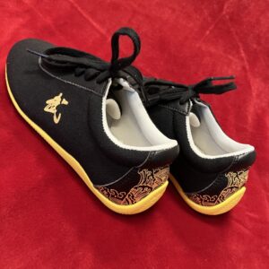 canvas wushu shoe