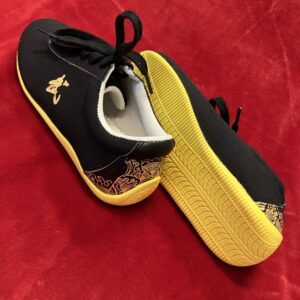 canvas wushu shoe